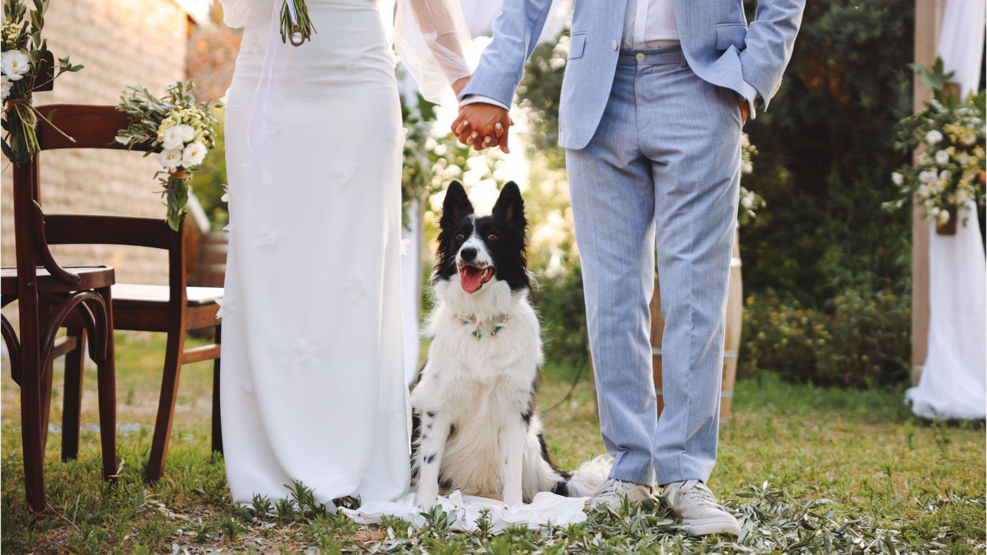 dieci cani dei canili comunali di muratella e ponte marconi saranno protagonisti di una speciale sfilata dedicata all8217adozione il 30 ottobre alla nuvola di roma