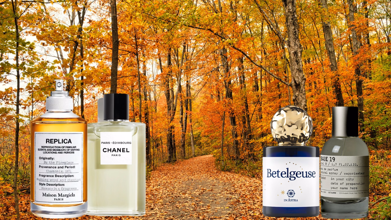 profumi-autunno-geosmina-GettyImages-2247194676-slider