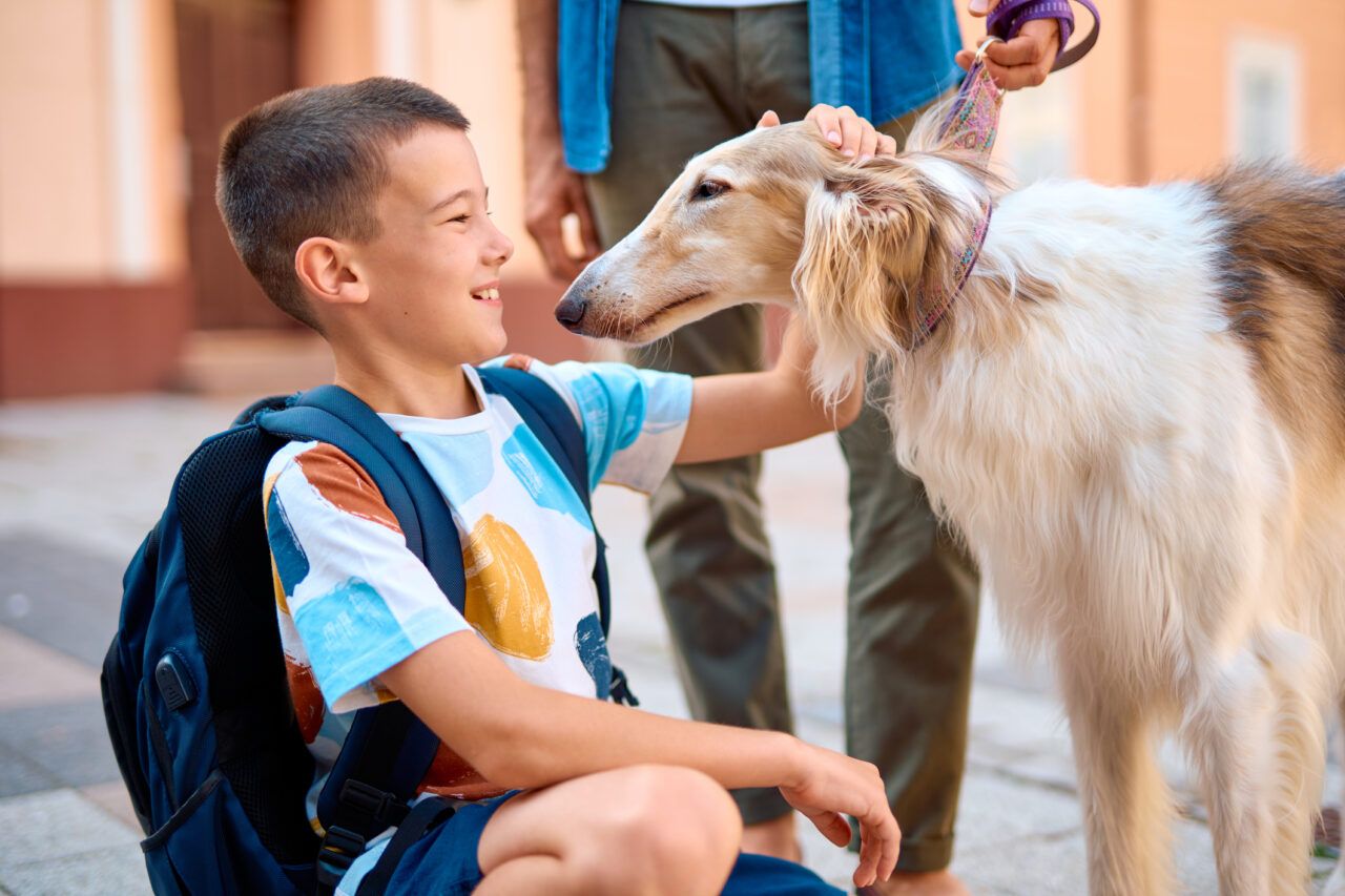 come intervenire dopo un morso di cane quali sintomi non sottovalutare e quando servono antibiotici o antitetanica