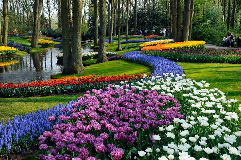 Keukenhof Tulip Gardens ad Amsterdam, Paesi Bassi