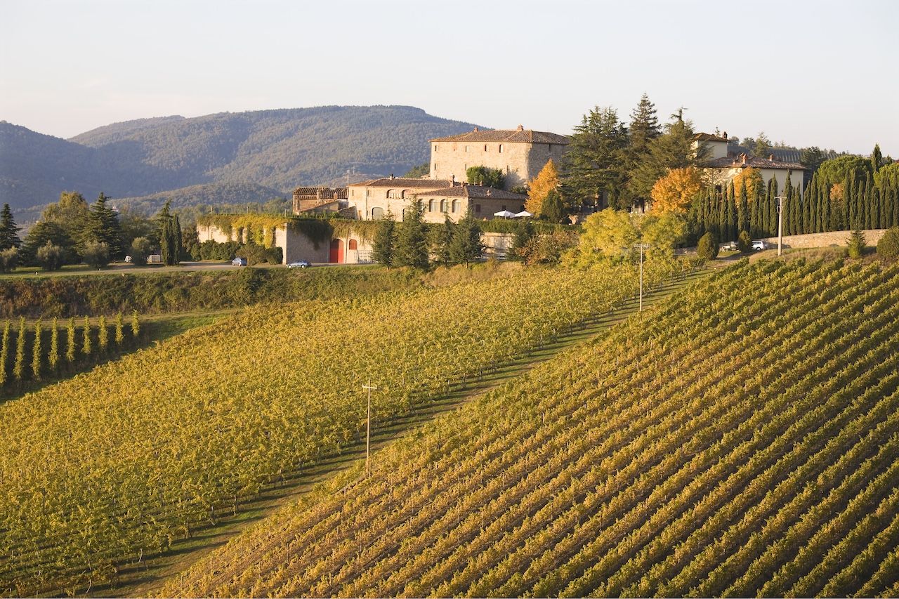 un viaggio panoramico lungo la penisola alla scoperta di come i paesaggi vitivinicoli cambiano volto trasformandosi in una tavolozza di colori caldi dopo la conclusione della vendemmia