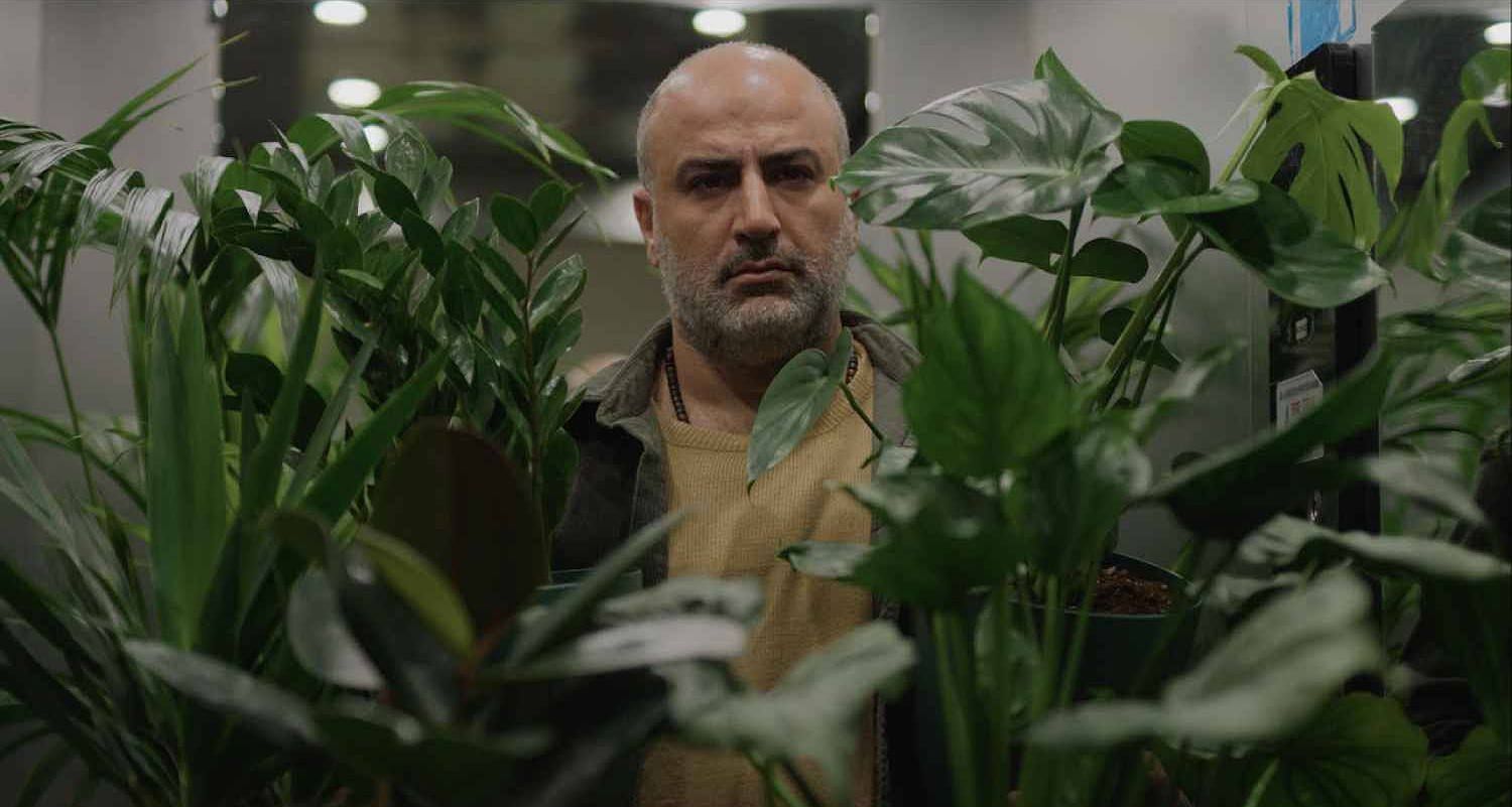 arash ha deciso di suicidarsi ma non vuole lasciare nulla al caso cos236 organizza la sua ultima giornata le piante il gatto le chiavi