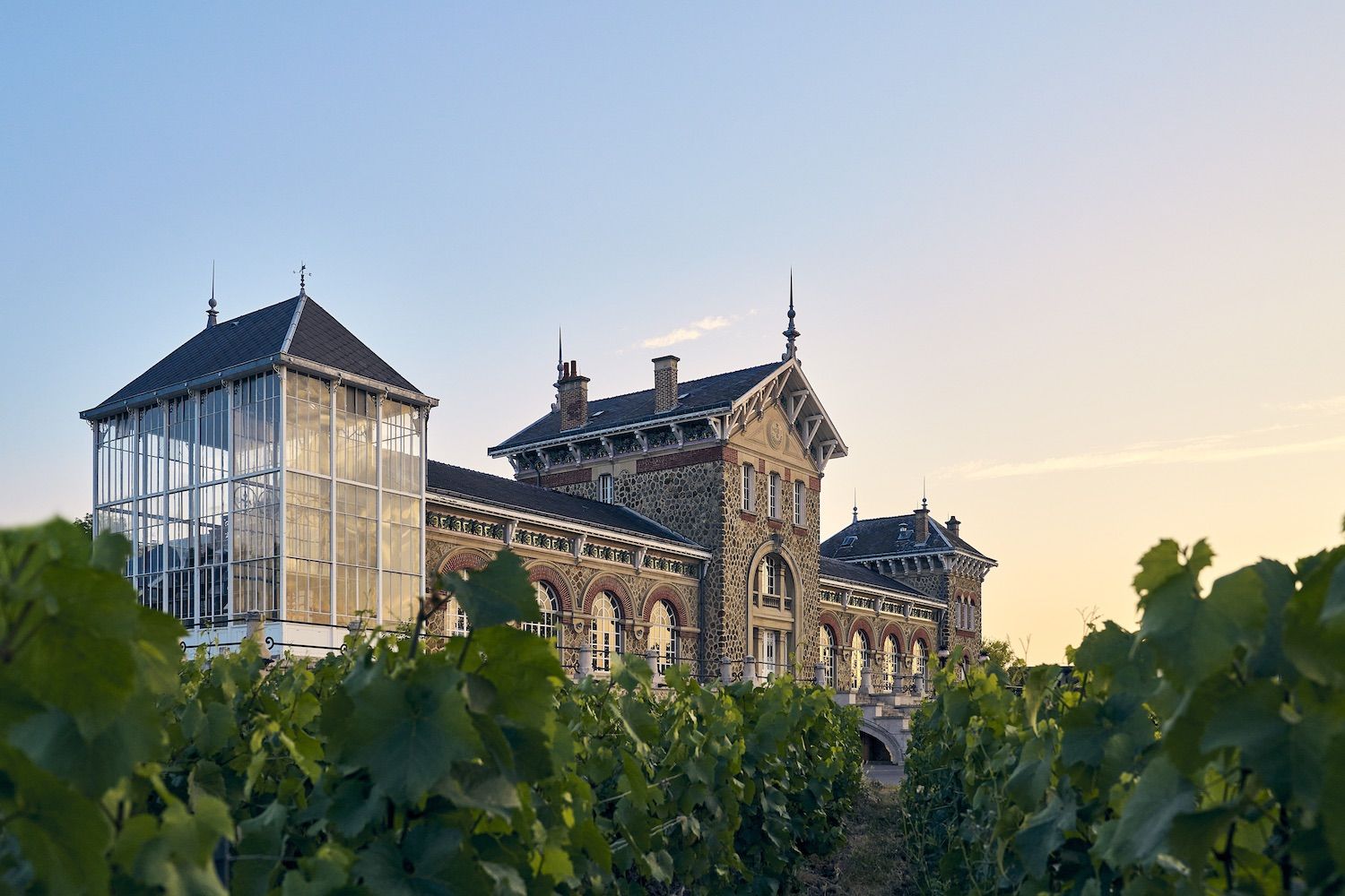 le dolci colline della champagne dalle parti di 201pernay passata la vendemmia in autunno la regione torna a una dimensione pi249 quieta tutta da scoprire
