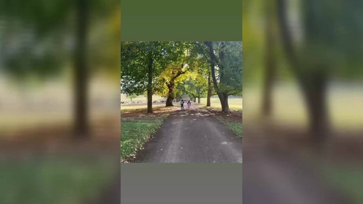 un monopattino il cane pula e un gruppo di cervi sullo sfondo la duchessa condivide su instagram un nuovo momento di famiglia nella campagna inglese160