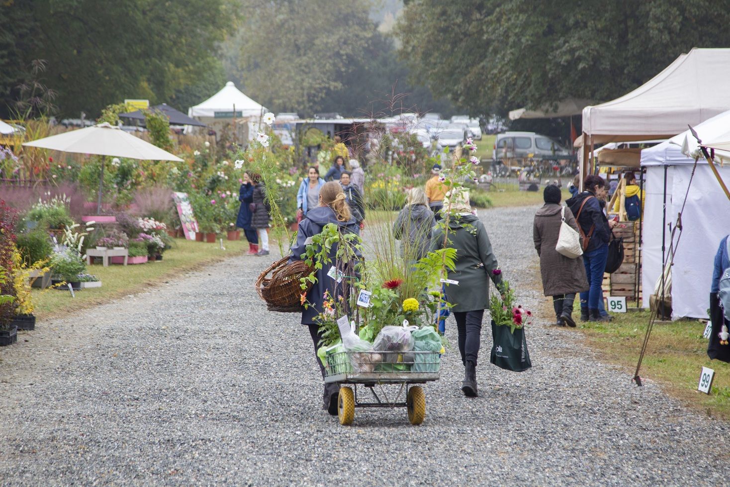 da venerd236 16 a domenica 18 ottobre 2026 al castello e parco di masino caravino to tornano i tre giorni per il giardino con 100 espositori workshop e due ospiti speciali